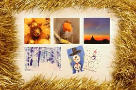 The selection of Carers in Hertfordshire’s charity Christmas Cards featuring pictures or photos produced by unpaid family and friend carers