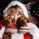 Festive party for dachshunds and their owners in Northchurch