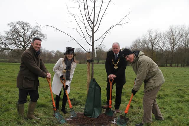 L to R: Ian Pigott, Deputy Lieutenant of Hertfordshire; Cllr Annie Brewster, Vice-Chairman of Hertfordshire County Council; Cllr Seamus Quilty, Chairman of Hertfordshire County Council; Cllr Eric Buckmaster, Exec Member for The Environment planting trees at Aldenham Country Park