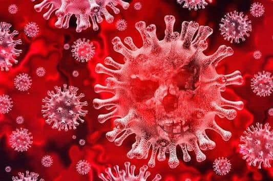 Coronavirus stock image