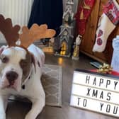 Sam’s scars have finally healed and, thanks to his new family, he’s learned that Christmas can be a magical time