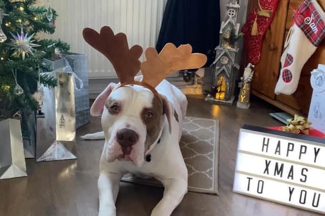 Sam’s scars have finally healed and, thanks to his new family, he’s learned that Christmas can be a magical time