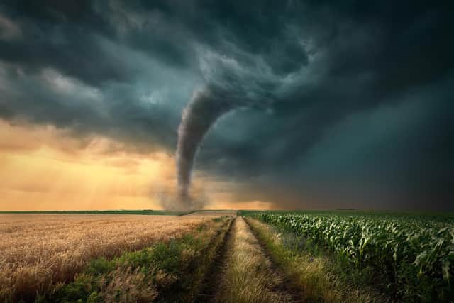 Residents of Mayfield, Kentucky in the US had their town virtually wiped off the map.