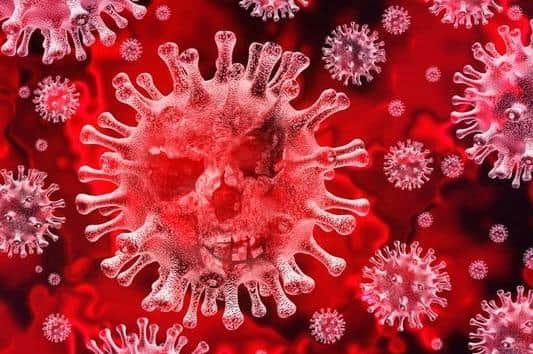 Coronavirus stock image