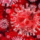 Coronavirus stock image