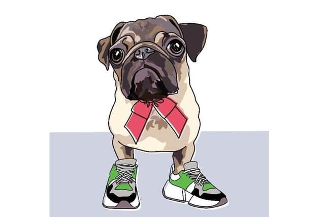 Pug in trainers illustration (C) Jane Barrett, Doodleshoe