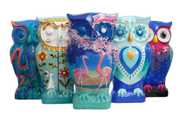 Some of the owls