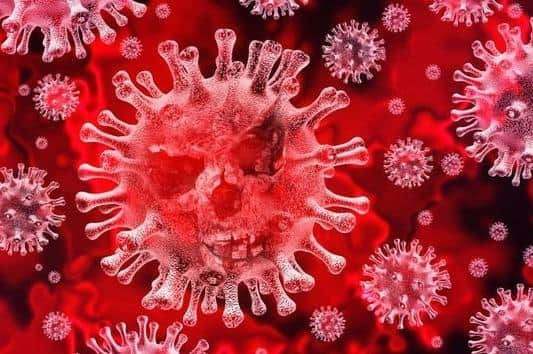 Coronavirus stock image