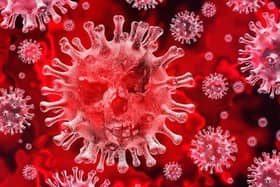 Coronavirus stock image