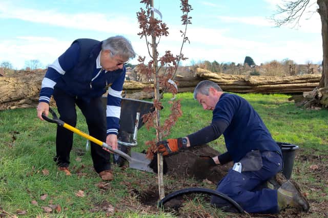 Rod Pesch, of Hemel Rotary, planting one of the trees with Matt Shrimpton, the senior estate ranger of Box Moor Trust. (PHOTO BY: Iain Nibbsy)