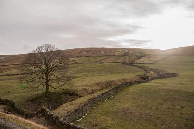 'The initial grey sky brought out the slate and the dry-stone walls' (photo: Jeremy Clack)