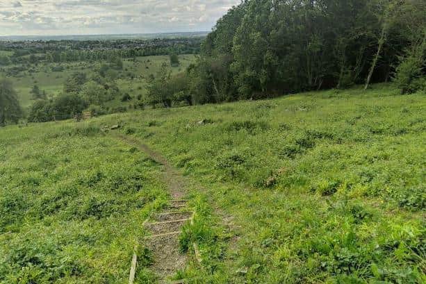 Tring Woodlands