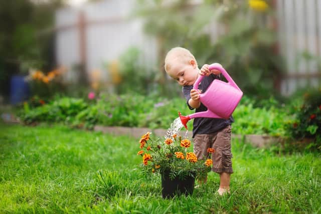 Tips to get your youngsters out into the garden