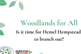 Woodlands for All: Is it time for Hemel Hempstead to branch out?