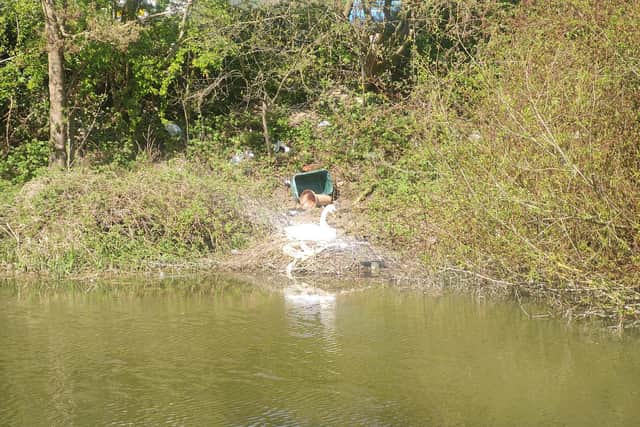 Guy saw a family of swans sitting on a nest surrounded by plastic waste near the canal
