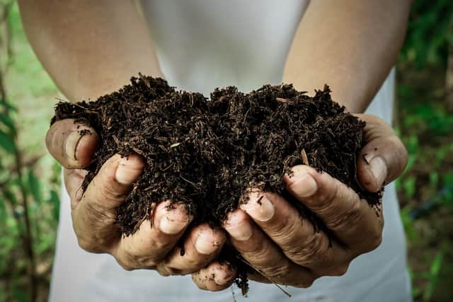 Free compost giveaway to Dacorum residents