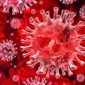 Coronavirus stock image