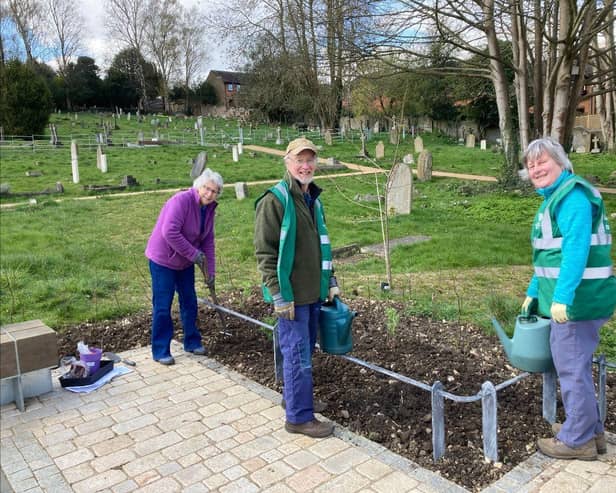 Berkhamsted Gardeners Society putting in the first of the plants