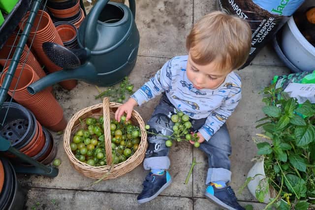 Two-year-old Hartley has been helping his brother