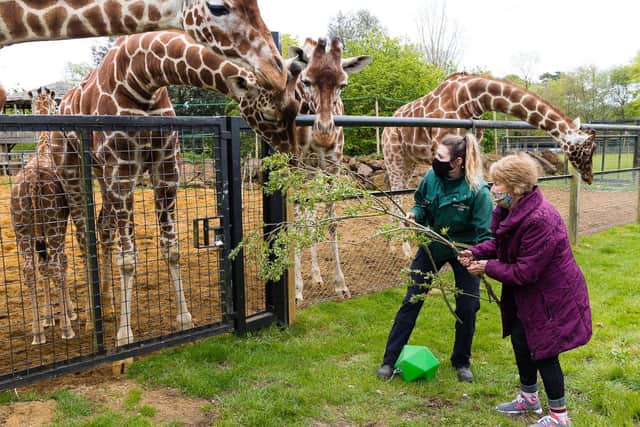 Margaret meets Margaret. Photo: ZSL