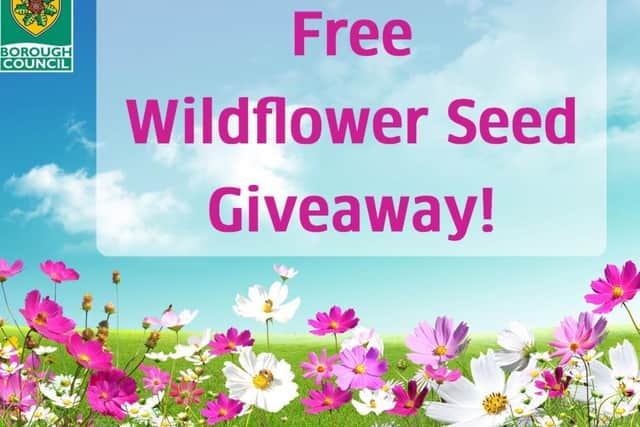 Wildflower Seed Giveaway