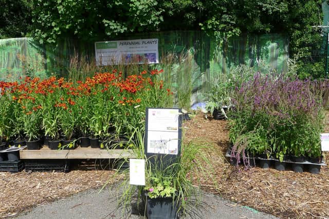 Sunnyside Rural Trust receives The Queen’s Award for Voluntary Service 2021