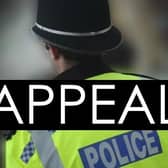 Police are appealing for witnesses after a serious collision