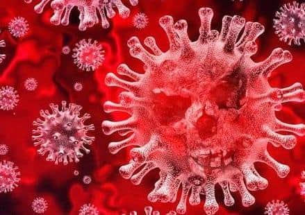 Coronavirus stock image