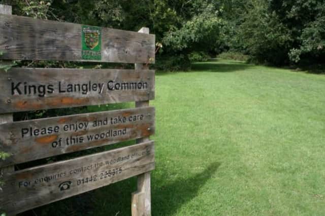 Kings Langley Common