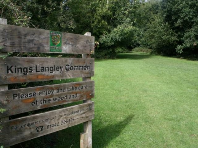 Kings Langley Common