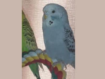 Cloud before he flew away
