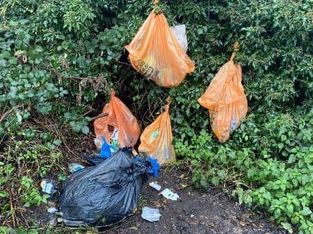 Rubbish left in the area (C) Lee Payton