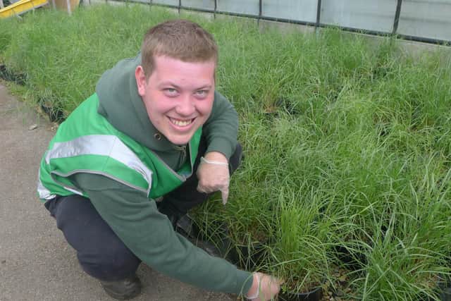 Sunnyside Rural Trust will be involved in this year's RHS Hampton Court Garden Festival
