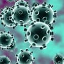 Coronavirus stock image