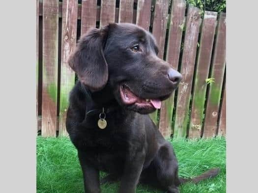 PD Kai