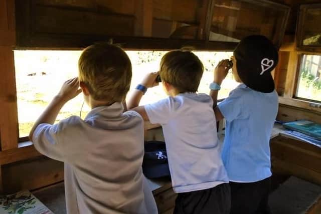 Nature watching from the hide (C) Julie James