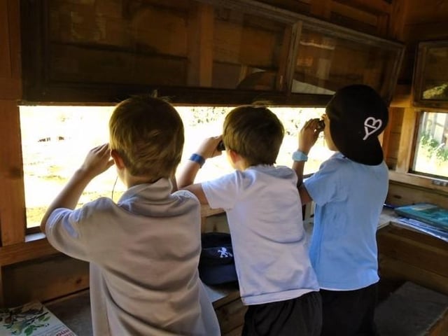 Nature watching from the hide (C) Julie James