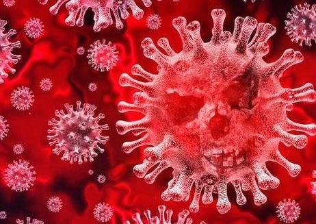 Coronavirus stock image