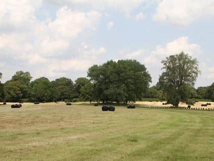 Some of the county council's planting will take place in Aldenham Country Park (C) Hertfordshire County Council