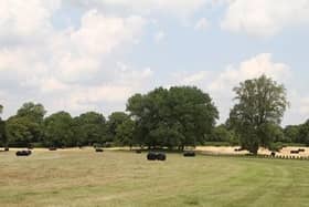 Some of the county council's planting will take place in Aldenham Country Park (C) Hertfordshire County Council