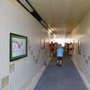 Markyate pupils bring lessons to life (C) Hertfordshire County Council