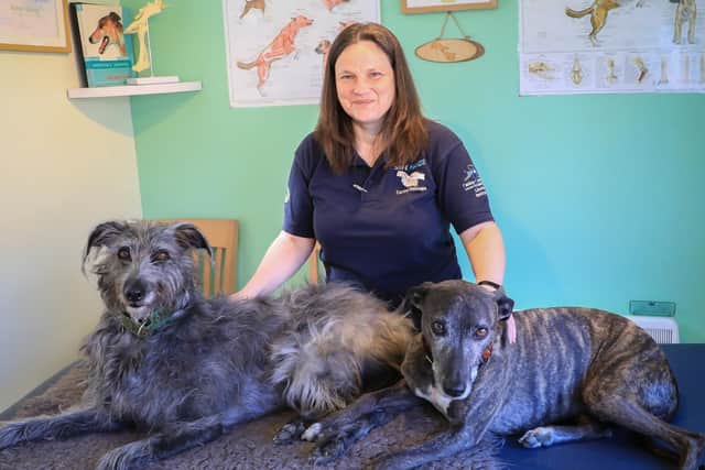 Karen Young from Safe Hands Clinical Canine Massage has been shortlisted as a finalist in the Animal Services Category