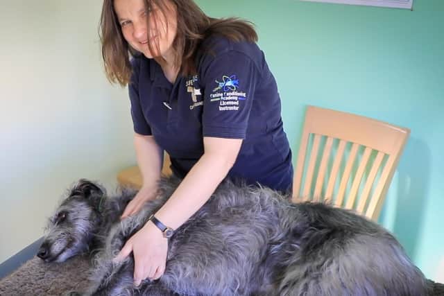 Karen Young from Safe Hands Clinical Canine Massage