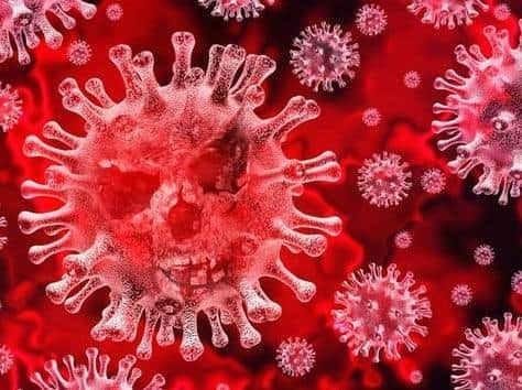 Coronavirus stock image