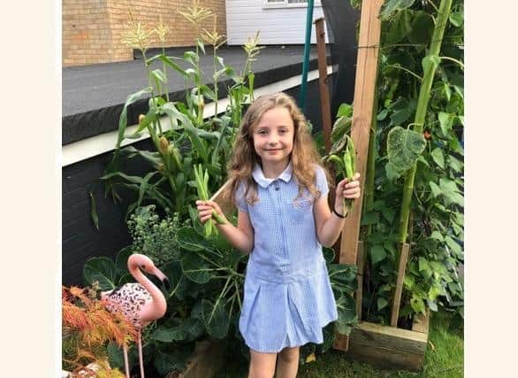Isabella has grown potatoes, carrots, green beans, broccoli, brussel sprouts, corn on cob and sunflowers.