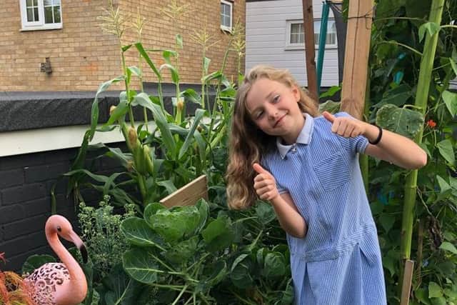 Isabella's dad built her a vegetable patch and sunflower patch, in their garden