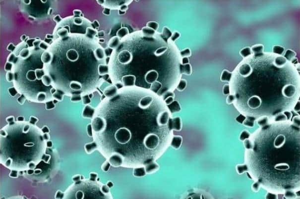 Coronavirus stock image