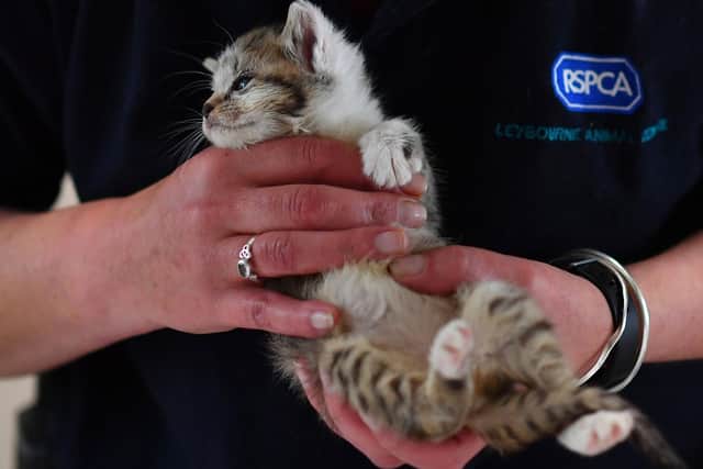 The image has been used for illustrative purposes (C) Getty Images