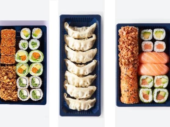 Veggie menu for Against Hunger, Duo Salmon and Chicken Gyoza