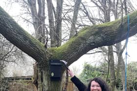 Victoria installing a bat box the Hornbeam Wood Hedgehog Sanctuary